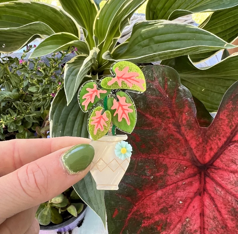 Shiny enamel brooch-Caladium Pot Brooch